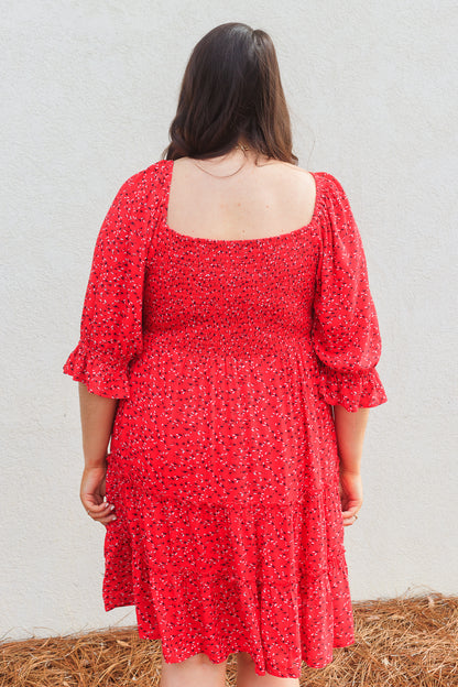 Curvy Mirabel Dress